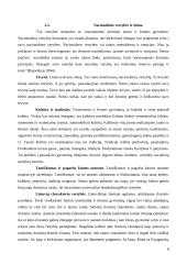 Šeima ir ją supančios vertybės 8 puslapis