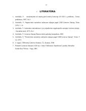 Šeimos teisė Lietuvos Didžiojoje Kunigaikštystėje 13 puslapis