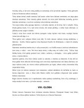 Šeimos teisė Lietuvos Didžiojoje Kunigaikštystėje 10 puslapis