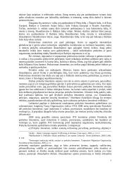 Šiuolaikinės vergovės praktikos ir jos draudimas tarptautinėje teisėje 7 puslapis