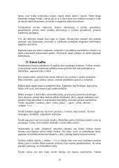 Etiketas Švedijoje  10 puslapis