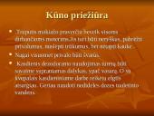 Tarnybinis etiketas moterims 5 puslapis