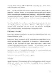 Tarptautinis protokolas ir etiketas Japonijoje. Kalbos kultūra 17 puslapis