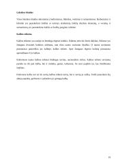 Tarptautinis protokolas ir etiketas Japonijoje. Kalbos kultūra 19 puslapis