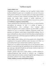 Tautiškumo ugdymo galimybės kalendorinėje šventėje 4 puslapis