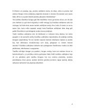 Tautiškumo ugdymo galimybės kalendorinėje šventėje 5 puslapis