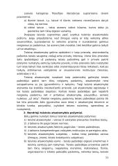 Sandoriai, administracinė bei materialinė atsakomybė 11 puslapis