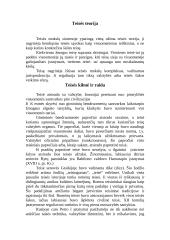 Teisė ir tvarka 2 puslapis