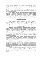 Teisė ir tvarka 4 puslapis