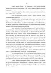 Teisėjavimo metodika krepšinyje 4 puslapis