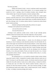 Teisėjavimo metodika krepšinyje 5 puslapis