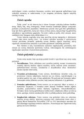 Teisės samprata ir požymiai 3 puslapis