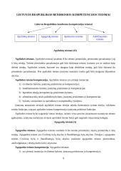 Teismų sistema Lietuvoje 9 puslapis