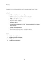 Telefoniniai pokalbiai ir jų etiketas 10 puslapis