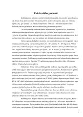 Tiesios nugaros trajektorija. Pratimų kompleksas 2 puslapis