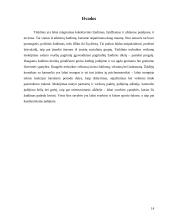 Tinklinio žaidimo bei jo elementų naudojimas visuomenės sveikatinimo, laisvalaikio organizavimo ir įvairių socialinių grupių integracijai 13 puslapis