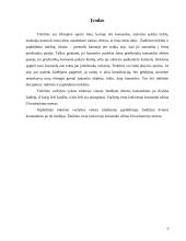 Tinklinio žaidimo bei jo elementų naudojimas visuomenės sveikatinimo, laisvalaikio organizavimo ir įvairių socialinių grupių integracijai 2 puslapis