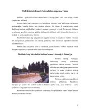 Tinklinio žaidimo bei jo elementų naudojimas visuomenės sveikatinimo, laisvalaikio organizavimo ir įvairių socialinių grupių integracijai 8 puslapis