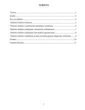 Tinklinio žaidimo ir jo elementų naudojimas visuomenės sveikatinimo, laisvalaikio organizavimo ir įvairių socialinių grupių inte 2 puslapis