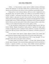 Tinklinio žaidimo ir jo elementų naudojimas visuomenės sveikatinimo, laisvalaikio organizavimo ir įvairių socialinių grupių inte 4 puslapis