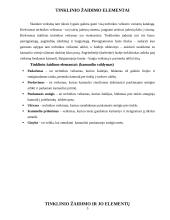 Tinklinio žaidimo ir jo elementų naudojimas visuomenės sveikatinimo, laisvalaikio organizavimo ir įvairių socialinių grupių inte 5 puslapis