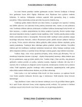 Tinklinio žaidimo ir jo elementų naudojimas visuomenės sveikatinimo, laisvalaikio organizavimo ir įvairių socialinių grupių inte 6 puslapis