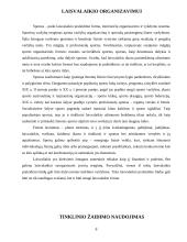 Tinklinio žaidimo ir jo elementų naudojimas visuomenės sveikatinimo, laisvalaikio organizavimo ir įvairių socialinių grupių inte 8 puslapis