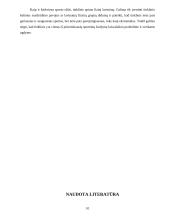 Tinklinio žaidimo ir jo elementų naudojimas visuomenės sveikatinimo, laisvalaikio organizavimo ir įvairių socialinių grupių inte 10 puslapis