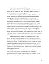 Turizmo reglamentavimas civilinėje teisėje 13 puslapis