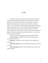 Turizmo reglamentavimas civilinėje teisėje 2 puslapis