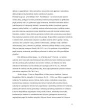 Turizmo reglamentavimas civilinėje teisėje 5 puslapis