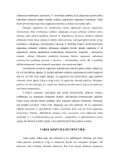 Vaiko adaptacija mokykloje 2 puslapis