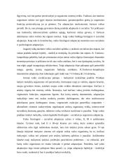 Vaiko adaptacija mokykloje 3 puslapis