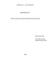 Vaiko adaptavimasis pradžios mokykloje 11 puslapis