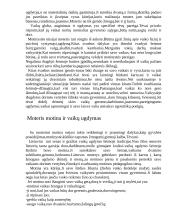 Vaiko adaptavimasis pradžios mokykloje 3 puslapis