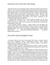 Vaiko adaptavimasis pradžios mokykloje 5 puslapis