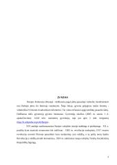 Vaikų ugdymo praktika Rusijos šeimose 3 puslapis