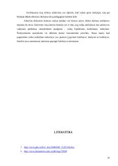 Vaikų ugdymo praktika Rusijos šeimose 10 puslapis