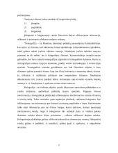 Vaizdo įrašo fiksavimas kriminalistikoje 11 puslapis