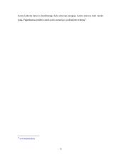 Vaizdo įrašo fiksavimas kriminalistikoje 13 puslapis