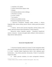 Vaizdo įrašo fiksavimas kriminalistikoje 6 puslapis