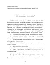 Vaizdo įrašo fiksavimas kriminalistikoje 10 puslapis