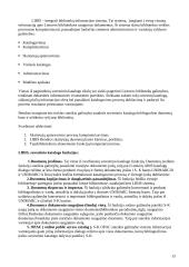 Valstybinės informacinės sistemos 13 puslapis