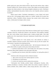 Verslo etiketas ir jo svarba 12 puslapis