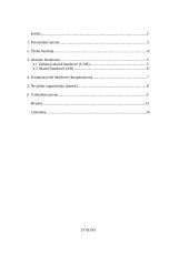Verslo organizavimo formos bei jų ypatybės 2 puslapis