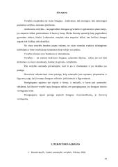 Vertybių samprata ir rūšys. Vertybių sąveika ir įtaką žmogaus gyvenimui 11 puslapis