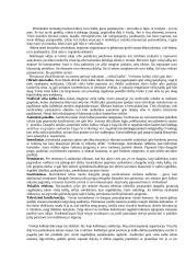 Viešos kalbos rengimo etiketas 2 puslapis