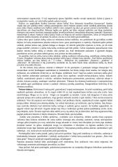 Viešos kalbos rengimo etiketas 3 puslapis