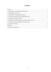 Vizitinės kortelės ir jų naudojimas 2 puslapis