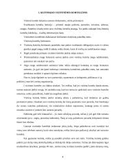 Vizitinės kortelės ir jų naudojimas 4 puslapis